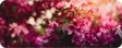 Florals