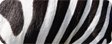 Stripes