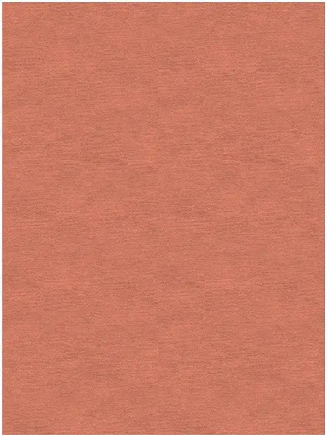 Solid Colors